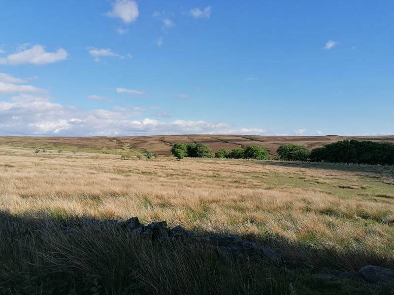 Anglezarke Moor