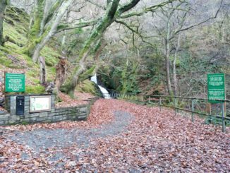 Dolgoch Falls