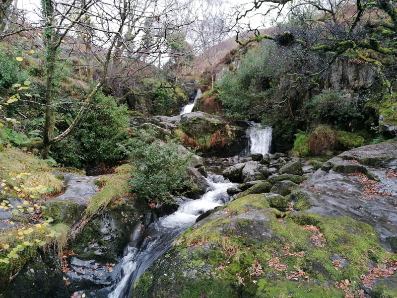 Dolgoch Falls Waterfall