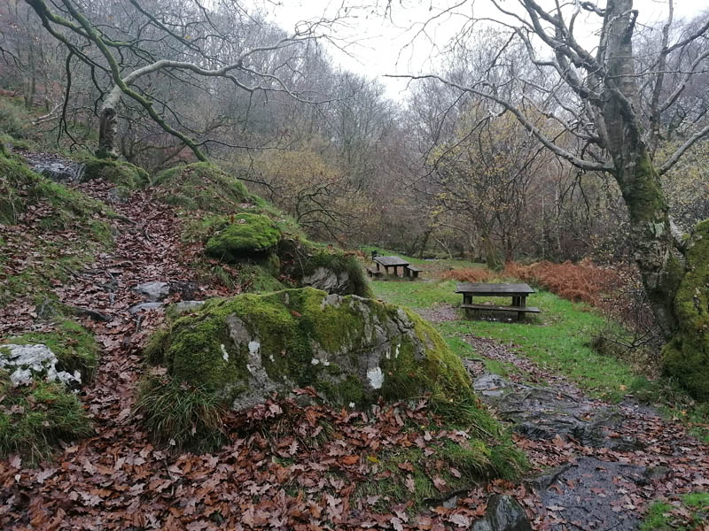 Dolgoch Falls Seating Area